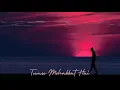 Lagu Tumse Mohabbat Hai | JalRaj | Slow \u0026 Reverb | Indian LoFi