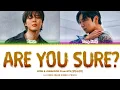 Jimin \u0026 Jungkook 'Are You Sure? (Seizoen 2) Songtekst (Kleurgecodeerde songtekst)