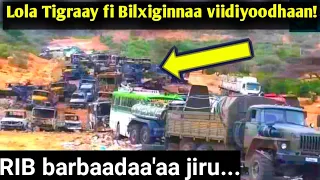 viidiyoo dhoksaan waraabame lola tigraay fi mootummaa federaalaa yeroo walitti dhukaasan