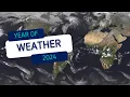 A year of weather 2024
