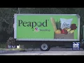 Stop Shop phasing out Peapod launching new service app