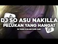 DJ SO ASU NAYKILA PELUKAN YANG HANGAT MENJADI BAYANGAN || SO ASU FULL SONG VIRAL TIKTOK 2025
