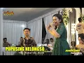 Download Lagu PUPUSING NELONGSO - AKBAR ANAK AJAIP DUET FT IKE SHOIMAH - ARISTA MUDHA LARAS