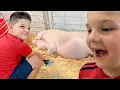 BEST PETTING ZOO Caleb Learns to to Feed and Take Care of Farm Animals with Mom Dad
