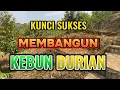 Lagu KUNCI SUKSES MEMBANGUN KEBUN DURIAN