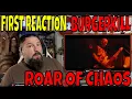 Download Lagu FIRST REACTION TO BURGERKILL - ROAR OF CHAOS | OldSkuleNerd Reacts