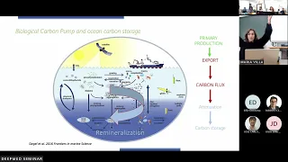 Maria Villa Alfageme (US), Observing and measuring the biological pump: building a global database