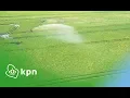 Download Lagu Smart farming tijdens de groeifase van het gewas