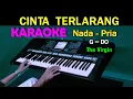 Download Lagu CINTA TERLARANG - The Virgin | KARAOKE  Nada Pria, HD