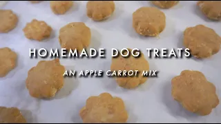 مخلوط سیب و هویج غذاهای خانگی سگ 