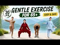30-Min Full Body Tai Chi Workout for Adults 65 Move Better Every Day