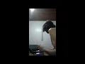 Ratatat-Cream On Chrome(Cover)