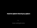 Ebru Gündeş - Harika (Sözleri/Lyrics)