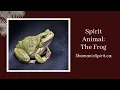 Animal Spirit Guide The Frog Shamanic Power Animal Frog Symbolism