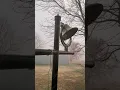 80 Winds Augusta KS 20211215