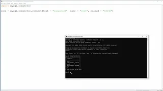 Python MySQL - 1