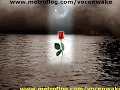 Derecho de antiguedad (video original)