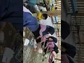 Merdeka bejar
