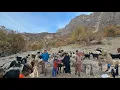 Lagu Unbelievable Nomad Mountain Life — Goat Herding, Firewood Gathering \u0026 Ancient Tribal BBQ!