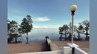                         دندنها