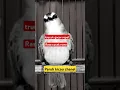 Download Lagu Trucukan gacor ropel rasa cucak rowo #trucukangacor #shorts #shortsvideo #shortsfeed #shortsviral