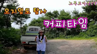 승용차도 탐사 가능한 임도// 산골 오지임도 탐사 여행//노지 차박캠핑!! 썸네일