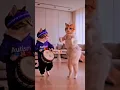 Download Lagu Sat supari lada singoda ro satko || #cat #dance #meow #trending #shorts