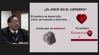 Amor ¿En el cerebro?