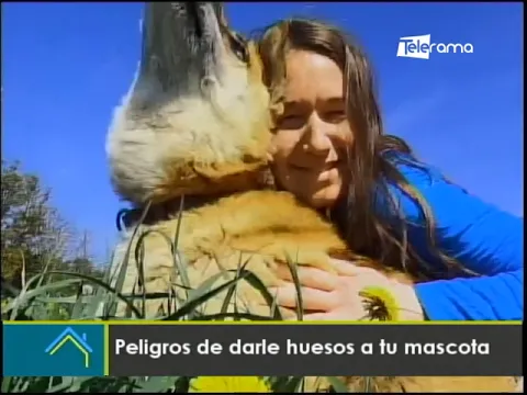 Peligros de darle huesos a tu mascota