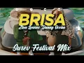 Zion & Lennox X Danny Ocean - Brisa (Surev Festival Mix) | Big Room | Brisa EDM Remix Bootleg