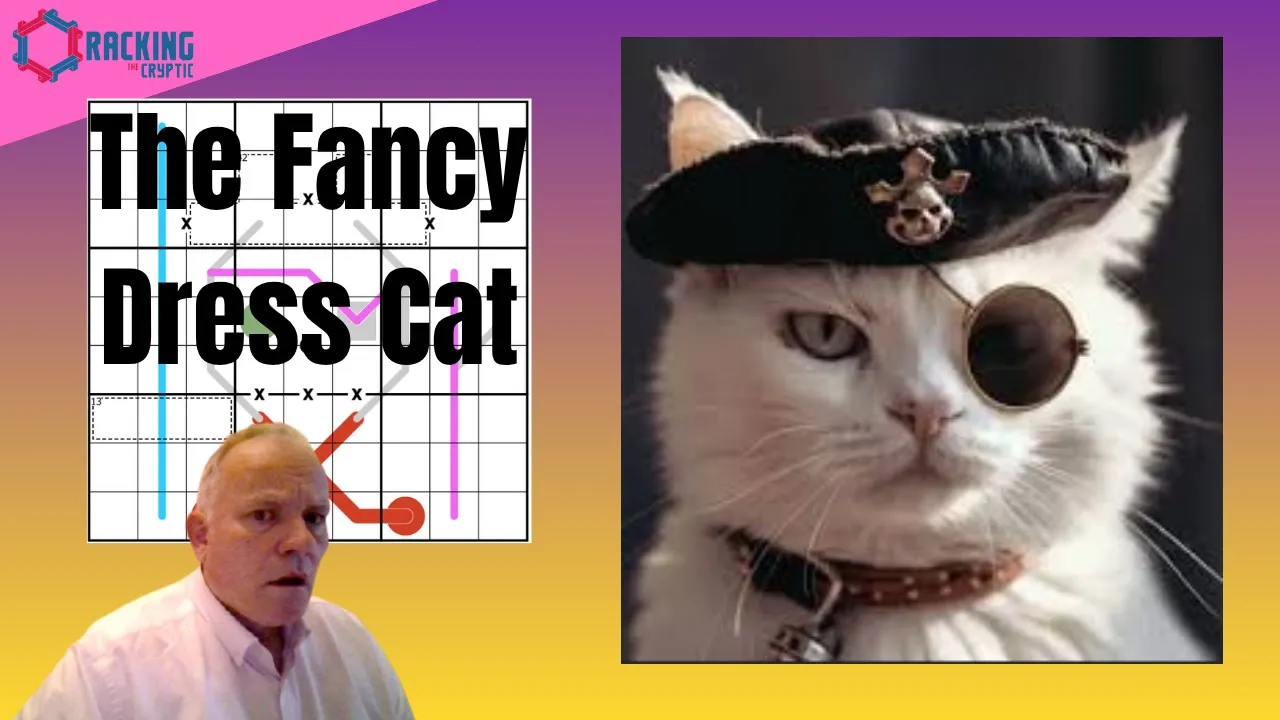 The Pirate Cat Comes to Play