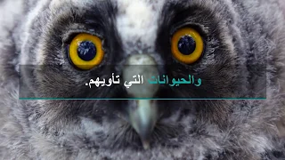 التنوع البيولوجي ضروري لمستقبلنا الغذائي دندنها