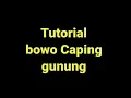 Download Lagu Contoh bowo tembang Caping Gunung.