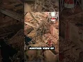 Shocking Photos from Chernobyl