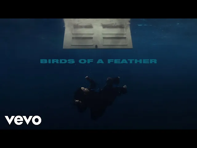 Download MP3 Billie Eilish - BIRDS OF A FEATHER (Official Lyric Video)