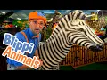 Download Lagu Blippi and Jungle Animals | Explore with BLIPPI!!! | Educational Videos for Toddlers