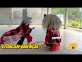 Download Lagu MENGEJEK KETANGKAP BARONGAN NGAMUK !! Arak Arakan Barongan Blora Seni Barong Sekar Gading Seto