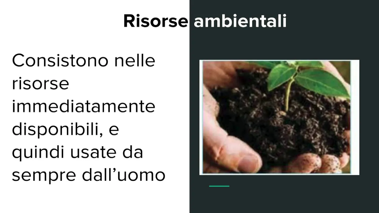Le risorse naturali