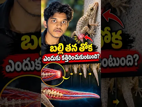 Why Do Lizards Cut Off Their Own Tails? 😱🦎#ktdeepthinker #factsintelugu #telugu