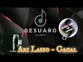 (KARAOKE) ARI LASSO - GAGAL