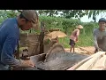 Download Lagu Menggergaji kayu sengon bahan !! Kasau gergaji serkel rakitan