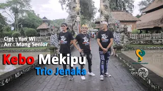 Download KEBO MEKIPU - TRIO JENAKA @mangseniorofficial MP3