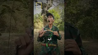 طريقة صيد الطيور 