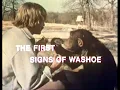 Horizon The First Signs of Washoe 1974