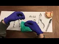 Punching the rubber dam for posterior teeth