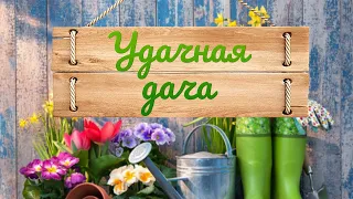 «Удачная дача», эфир от 29 мая 2020 года