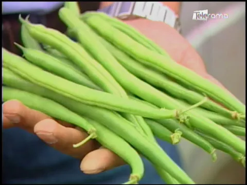 Ecuador Agropecuario 24-08-2017