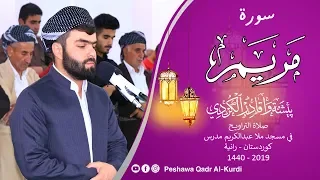 سورة مريم كاملة بيشةوا قادر الكردى رمضان 2019 