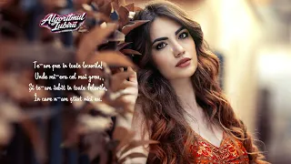 algoritmul iubirii ce a da official song only live effect 