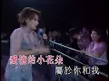 热情的沙漠 甄妮